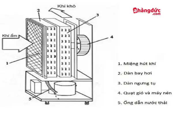 Nguyên lý hoạt động máy hút ẩm