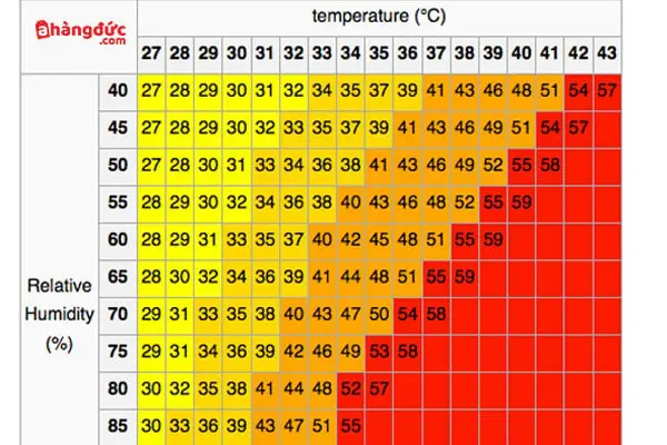 Sự liên quan giữa nhiệt độ và độ ẩm
