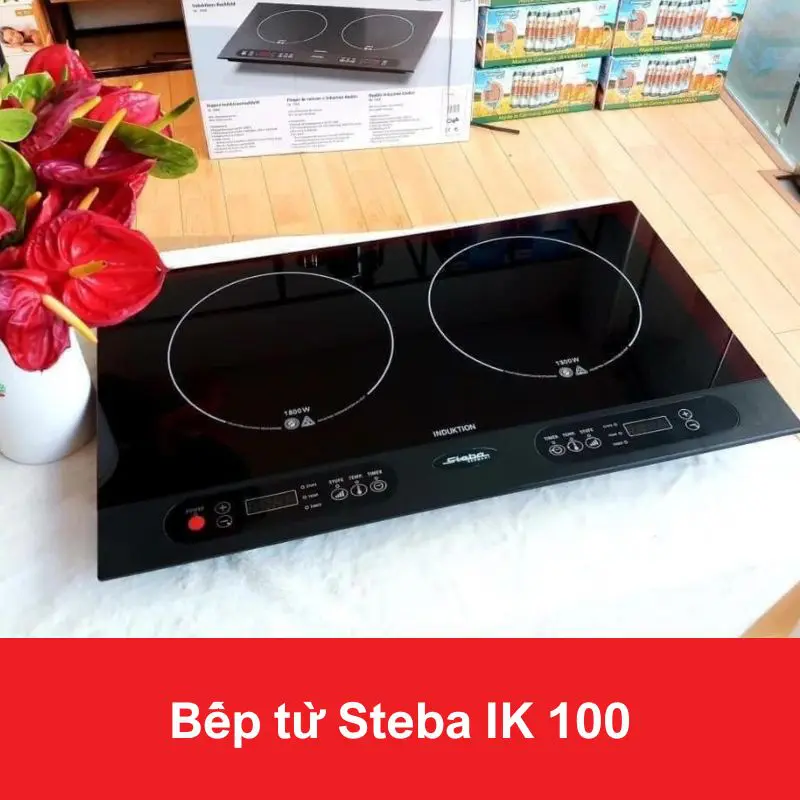 Bếp từ Steba IK 100 8 Bếp từ Steba IK 100