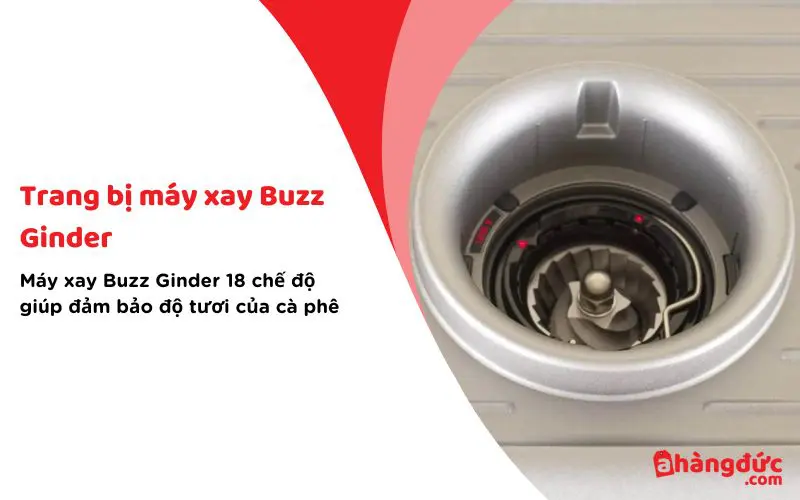 Đảm bảo độ tươi của cà phê với máy xay Buzz Ginder