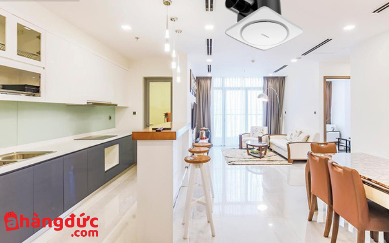 Top 10 cách hút ẩm trong nhà hiệu quả nhanh chóng 14 Cách phòng chống ẩm mốc