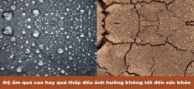 Độ ẩm không khí quá cao, hay không khí khô nóng đều không tốt cho sức khỏe