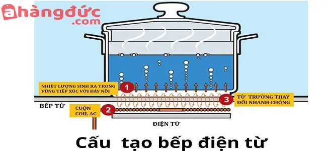 Cách sử dụng bếp từ hiệu quả cần tìm hiểu thông tin bếp