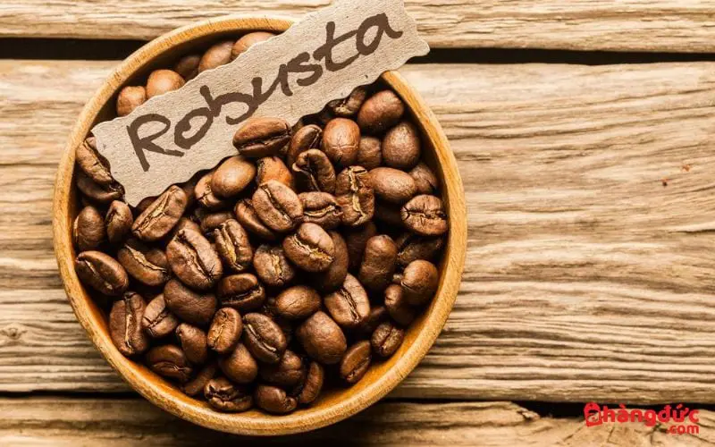 Cà phê Robusta