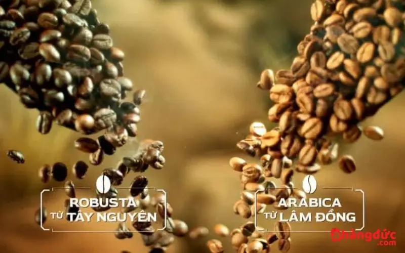 Phối trộn cà phê Robusta và Arabica