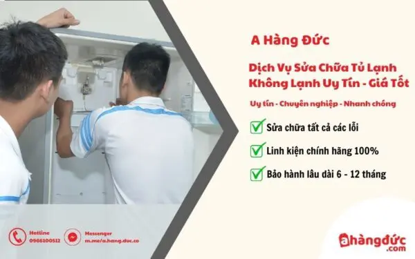 Sửa tủ lạnh không lạnh