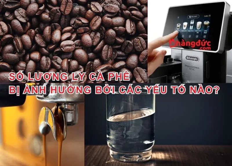 1Kg Cafe Pha Máy Được Bao Nhiêu Ly? Giải Đáp Định Lượng Chuẩn Để Pha Máy 7 Số lượng ly cà phê bị ảnh hưởng bởi các yếu tố nào