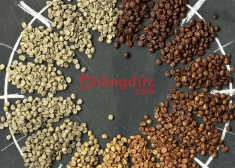 Cà phê trắng là gì? Bật mí về phương pháp rang và hương vị pha chế 8 Các cấp độ trong quá trình rang cafe