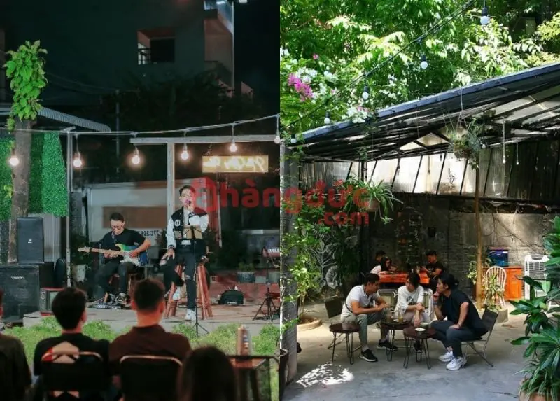 Các loại mô hình cà phê sân vườn phổ biến