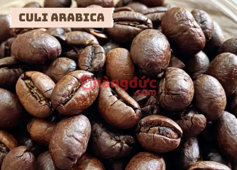 Cà phê culi là gì? Hành trình từ hạt cà phê lỗi đến "bản nâng cấp" khó mua 14 Culi Arabica