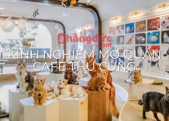 Kinh nghiệm mở quán cà phê thú cưng