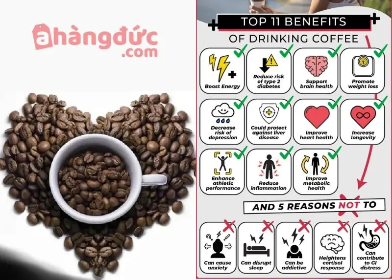 Cà Phê Chồn: Hành Trình Khám Phá Toàn Diện Thức Uống "Đắt Nhất Hành Tinh" 11 Lợi ích sức khỏe của uống cà phê