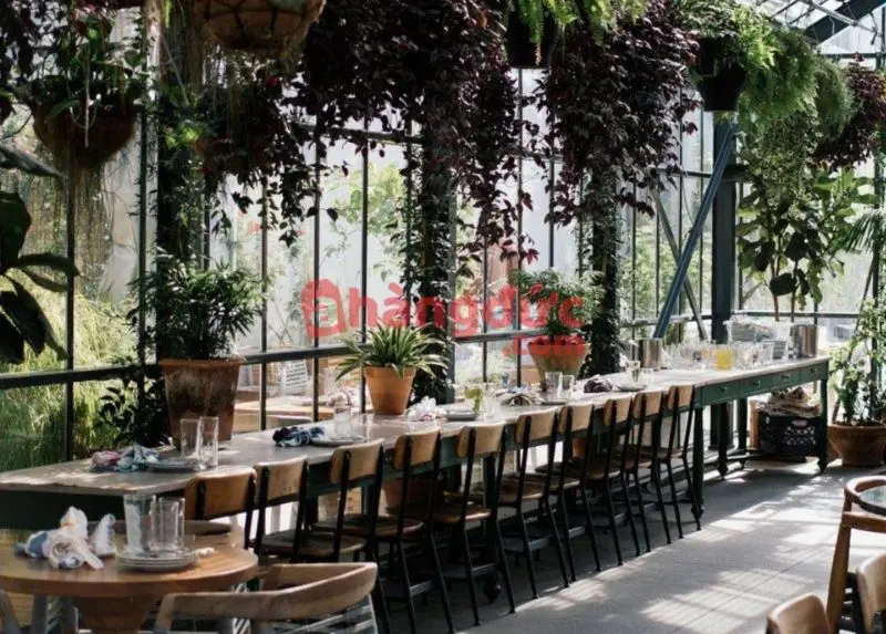 Mẫu quán cà phê sân vườn đơn giản đẹp