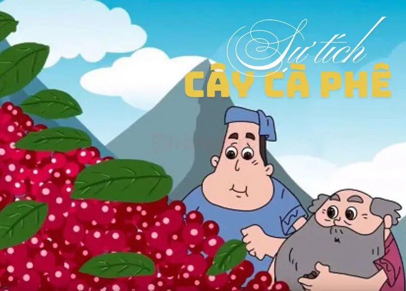 Giới thiệu về cây cà phê: Chuyện chưa kể về "Vàng Nâu" của vùng đất Tây Nguyên 5 Sự tích cây cà phê Tây Nguyên