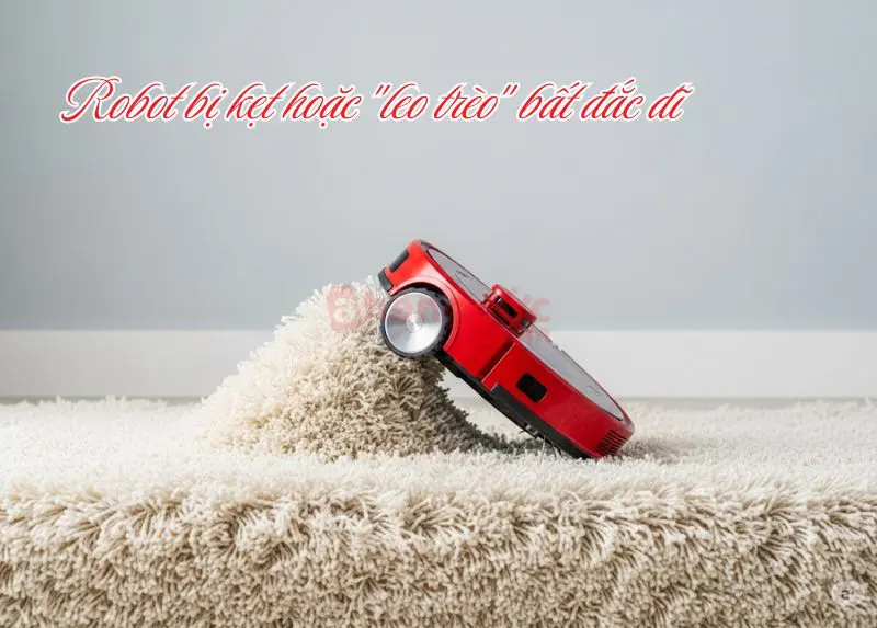 Robot hút bụi bị kêu to: 7 nguyên nhân và cách sửa chữa 10 Robot kêu to do bị kẹt hoặc leo trèo