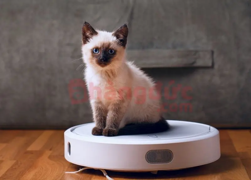 Robot hút bụi không chạy: Bí kíp "bắt bệnh" cấp tốc tại nhà 8 Robot hút bụi bị kẹt do lông, tóc