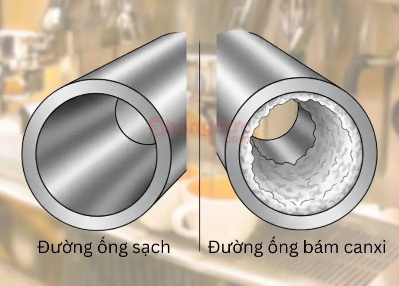 Máy pha cà phê không nóng: "cấp cứu" buổi sáng của bạn và 7 bí kíp sửa chữa tại nhà 9 Kẻ thù số 1: Cặn canxi (vôi hóa) bám vào đường ống, ngăn cản quá trình làm nóng nước hiệu quả.
