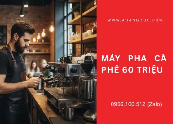 máy pha cà phê 60 triệu