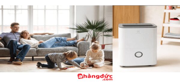 Electrolux Dehumidifier có thiết kế hiện đại đa dạng
