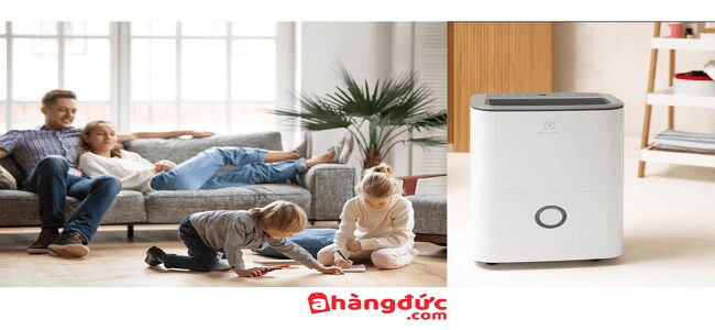 Electrolux Dehumidifier có thiết kế hiện đại đa dạng