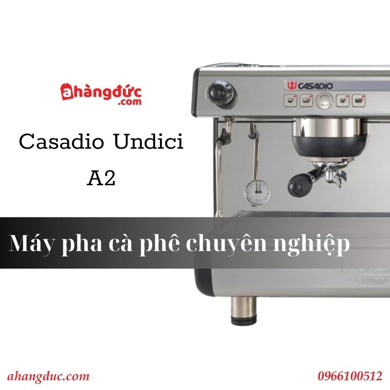 Máy pha cà phê chuyên nghiệp Casadio Undici A2