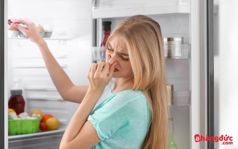 Tủ lạnh xuất hiện mùi hôi là dấu hiệu cho thấy bạn cần vệ sinh tủ lạnh