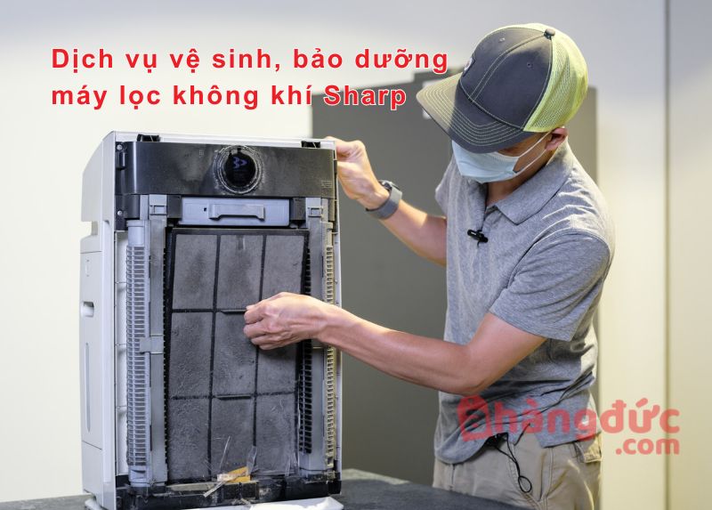 Thay màng lọc máy lọc không khí Sharp khi nào? Bao nhiêu lần 1 năm? 6 Dịch vụ thay màng lọc máy lọc không khí Sharp