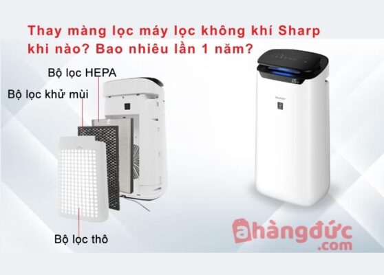 Thay màng lọc máy lọc không khí Sharp khi nào? Bao nhiêu lần 1 năm?