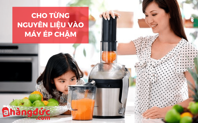 Máy ép chậm phù hợp với loại trái cây nào