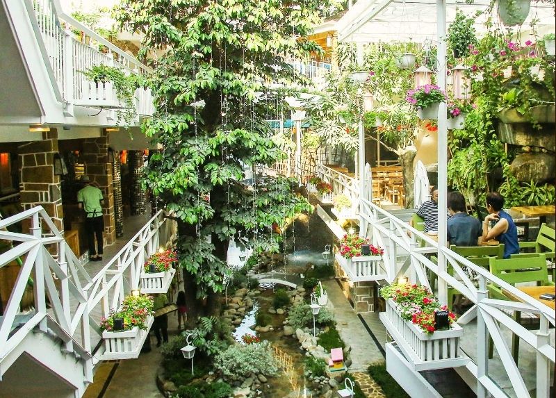 City Garden Café