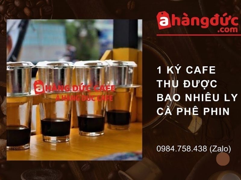 Khi dùng phin truyền thống pha 1 ký cafe thu được được bao nhiêu ly
