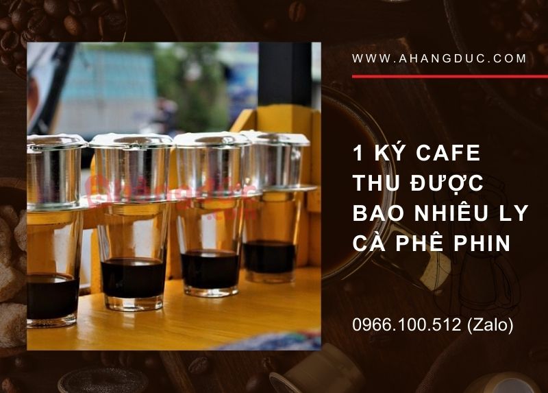 Khi dùng phin truyền thống pha 1 ký cafe thu được được bao nhiêu ly