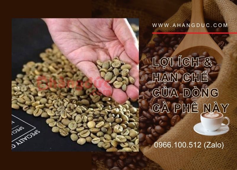 Những lợi ích và hạn chế của dòng cà phê này