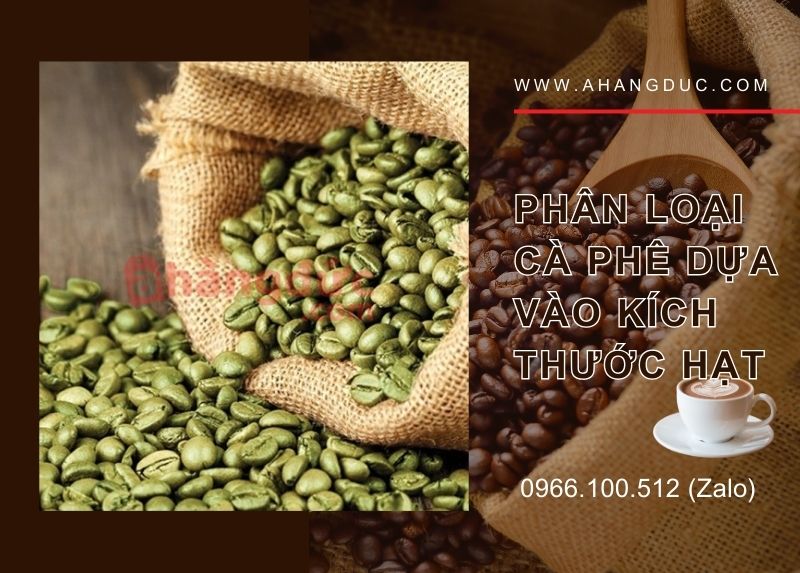 Phân loại cà phê nhận xô dựa vào kích thước hạt