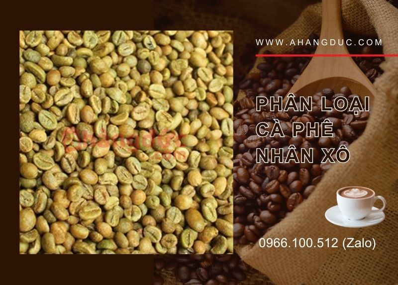 Phân loại cà phê nhân xô