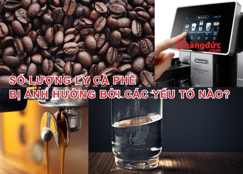 Số lượng ly cà phê bị ảnh hưởng bởi các yếu tố nào