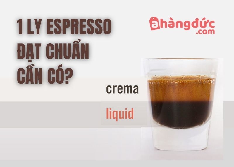 Cấu trúc 1 ly espresso đạt chuẩn cần có
