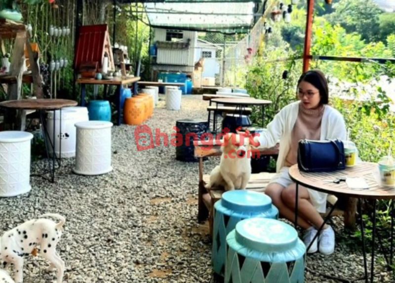 Tập trung vào khách hàng mục tiêu của quán cafe thú cưng