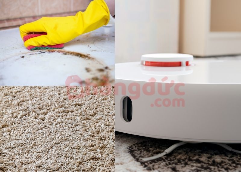 Lực bất tòng tâm với vết bẩn và thảm lông