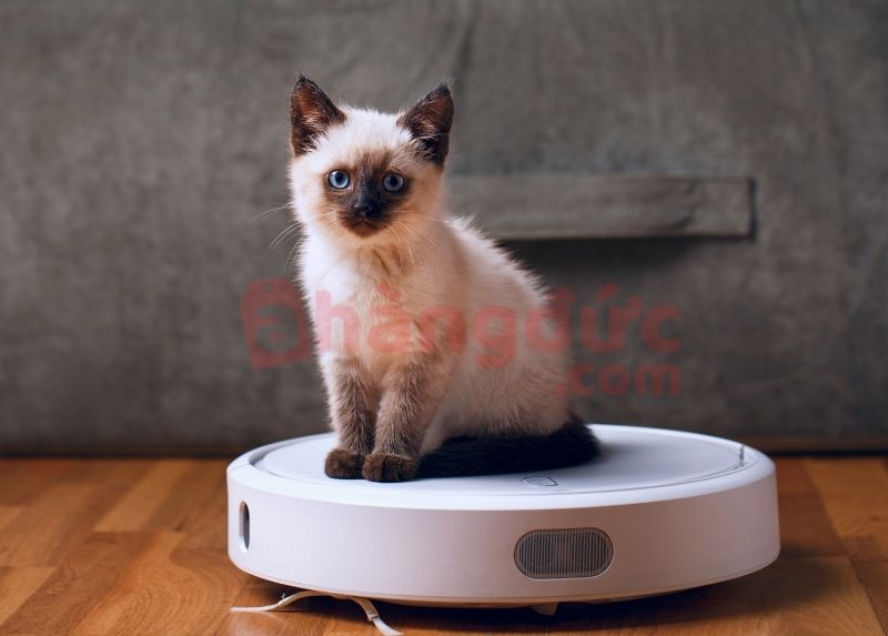 Robot hút bụi bị kẹt do lông, tóc