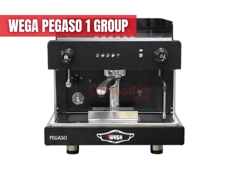 Wega Pegaso: 'Nồi đồng cối đá' đúng nghĩa, sinh ra để chinh phục những giờ cao điểm khắc nghiệt nhất.