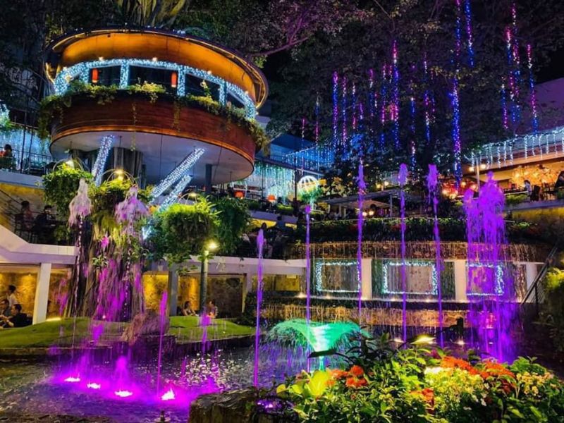 Top 10 những quán cafe đẹp Sài Gòn "Sống ảo" cực chất có cà phê ngon 19 Du Miên Garden Coffee