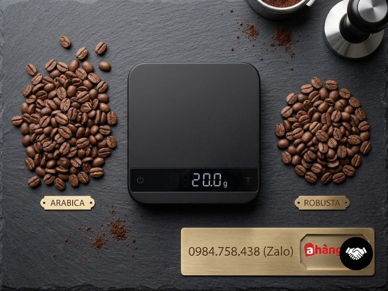 Phin Pha Cà Phê: Cách Pha Cafe Phin Chuẩn Định Lượng Kinh Doanh 9 Tối ưu lợi nhuận bằng tỷ lệ mix hạt Robusta và Arabica