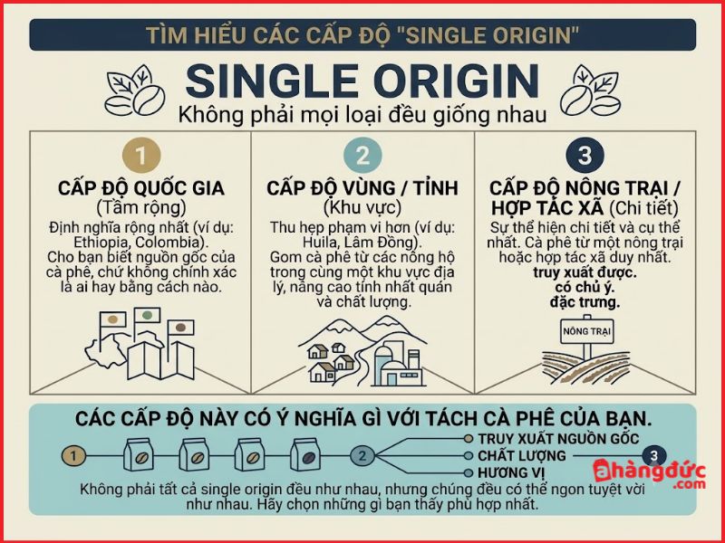 3 Cấp độ phân cấp Single Origin Coffee