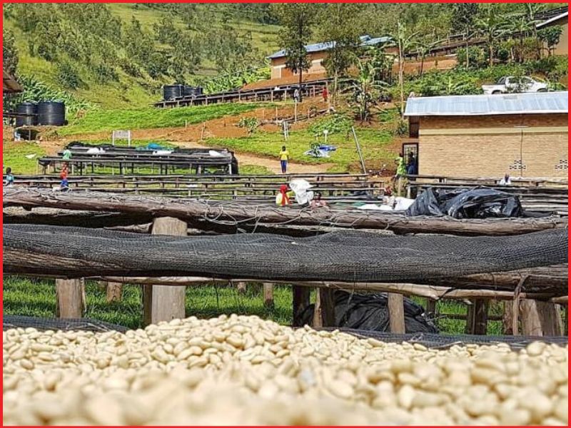 Bản tuyên ngôn về nguồn gốc và dấu ấn thổ nhưỡng bản địa