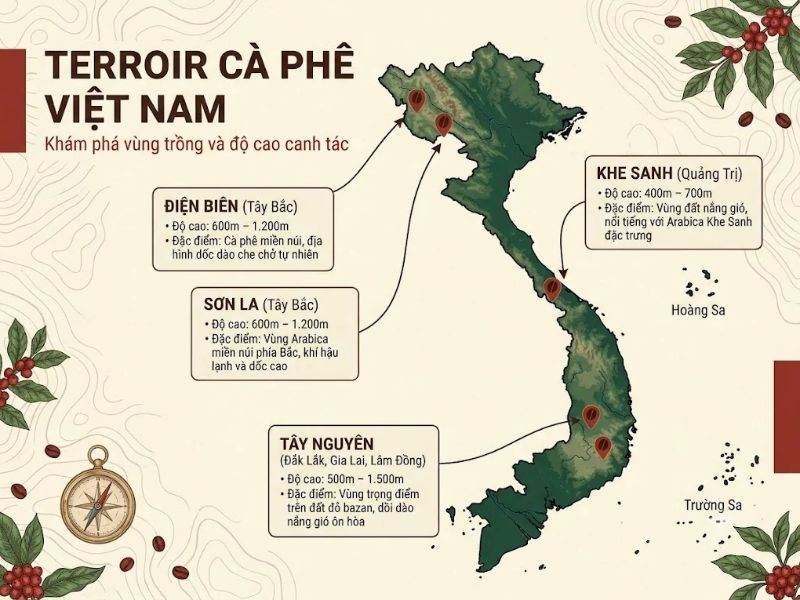 Khám phá Terroir và hương vị cà phê Việt Nam theo vùng trồng