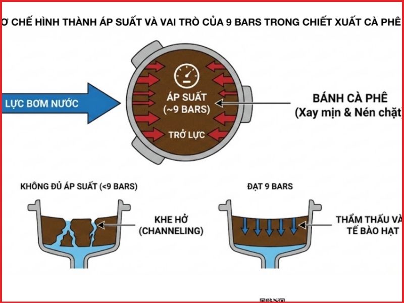 Làm chủ áp suất chiết xuất chuẩn 9 bar cùng A Hàng Đức
