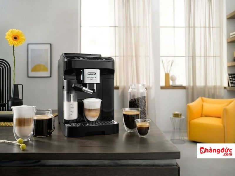 Máy pha cà phê Delonghi 290.61 và Delonghi 290.81