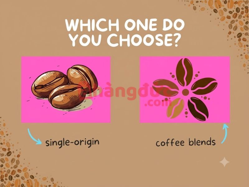 Single Origin Coffee và Blend Coffee